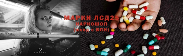 PSILOCYBIN Михайлов
