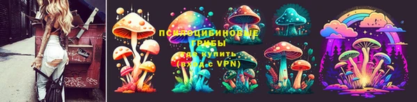 ГАЛЛЮЦИНОГЕННЫЕ ГРИБЫ Медногорск