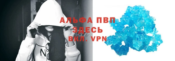 PSILOCYBIN Михайлов